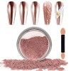 Laza Chrome Nail Powder Mirror Effect Metallic Dust Holographic Glitter Glazed Manicure Decoration Reflective Pigment for DIY