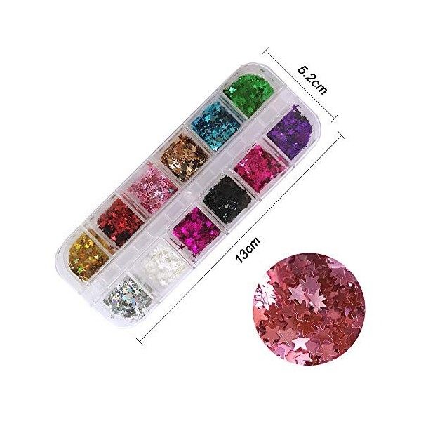 24 boîtes Star Paillettes Maquillage Glitter, Kalolary 3D flocons holographiques paillettes pour Visage, Corps, Ongles, Cheve