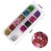 24 boîtes Star Paillettes Maquillage Glitter, Kalolary 3D flocons holographiques paillettes pour Visage, Corps, Ongles, Cheve