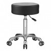 EasyLife Professional Swivel Rolling Stool Adjustable Height Hydraulic Stool with Wheels for Clinic Dentist Spa Massage Salon