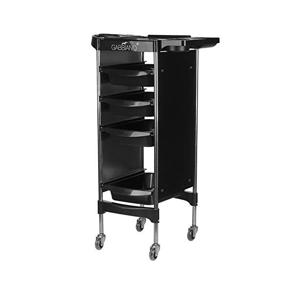 Activeshop D&S Vertriebs FX11-2 Chariot de coiffeur Noir