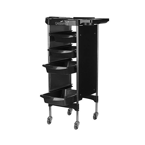 Activeshop D&S Vertriebs FX11-2 Chariot de coiffeur Noir