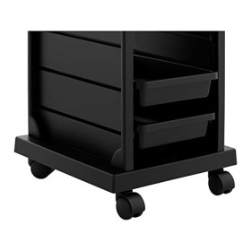 physa PHYSA-RR-09 Charriot pour salon de coiffure Coiffeuse Esthétique Plateau&nbsp;: 410&nbsp;x&nbsp;315&nbsp;mm, 4&nbsp;tiroirs, Capacité de charge