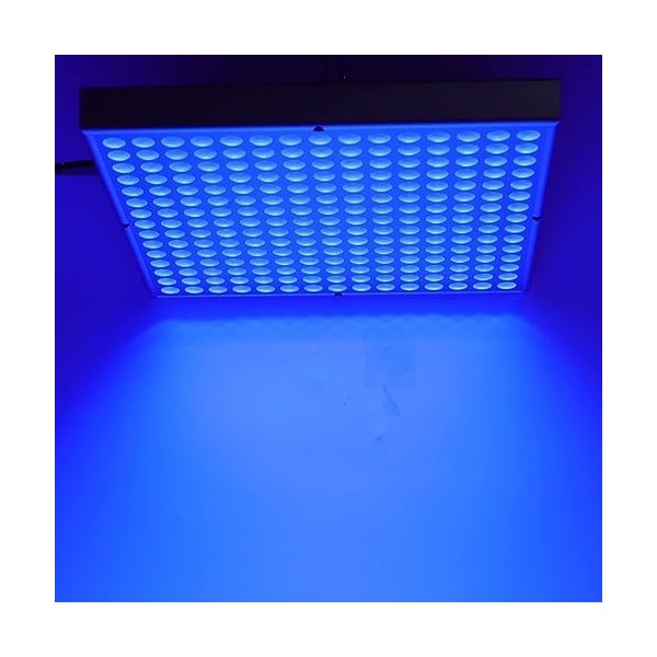 MLYSH Lampe de Bronzage du Visage, Lampe de Bronzage pour Le Visage et Le Corps, Portable 460 Nm Full Blue Light 225pcs LEDs 