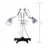 FAXIOAWA Lampe, Lampe de Cuisson, Instrument de physiothérapie Infrarouge, Lampe de Cuisson Domestique Verticale à Double têt