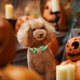 Firulab Collier pour Chien avec Arc,Collier Chien Noeuds Papillon Citrouille - Colliers réglables avec Cloche et Visage Citro