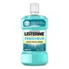 Listerine Renforcement de la dentition Bain de Bouche Quotidien, Fraîcheur Intense menthe, pour un Haleine Fraîche, 250ml