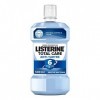 Listerine Bain de Bouche Quotidien, Anti Tartre Dentaire, Menthe Arctique, pour une Haleine Fraîche, 500ml