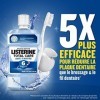 Listerine Bain de Bouche Quotidien, Anti Tartre Dentaire, Menthe Arctique, pour une Haleine Fraîche, 500ml