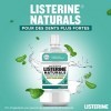 Listerine - Bain de Bouche Naturals, Protection de lEmail, Bain de Bouche Sans Alcool, 500ml