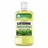 LISTERINE BAIN BOUCHE PROTECTION DENTS ET GENCIVES THE VERT 500ML