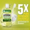 LISTERINE BAIN BOUCHE PROTECTION DENTS ET GENCIVES THE VERT 500ML