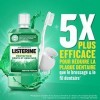 Listerine Bain de Bouche Quotidien, Protection Dents et Gencives, pour une Haleine Fraîche, 750ml x4