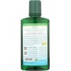 Auromere Rince-bouche ayurvédique par - sans fluorure, sans alcool, naturel, avec Neem et Vegan - 16 fl oz