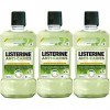 Listerine Bain de Bouche Quotidien Anti Caries Gout The Vert 500 ml - Lot de 3
