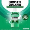 Listerine Teeth & Gum Defense Freshmint Mouthwash 250ml