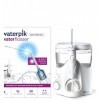 Waterpik WF-06UK - Hydropulseur professionnel avec pastilles de blanchiment des dents à la menthe - Outil de retrait de la pl