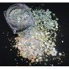 Lot de 12 pots de paillettes scintillantes irisées champagne rose doré et paillettes pailletées pour nail art, maquillage, lo