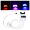 Lampe de Blanchiment des Dents Dentaires, Lampe de Blanchiment des Dents à LED 8 LED, Bleu Violet Rouge 3 Modes de Blanchimen