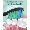 Brosse à dents électrique pour adultes avec 6 têtes de brosse - Brosse à dents électrique sonique avec support de brosse à de