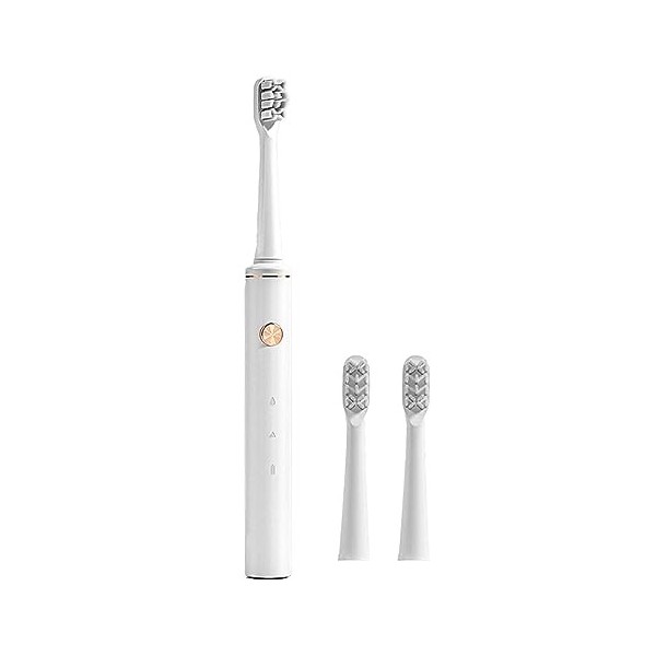 Brosse à Dents électrique, Brosse à Dents électrique Rechargeable avec 2 Têtes de Brosse, Brosse à Dents Adulte, Réglage à 2 