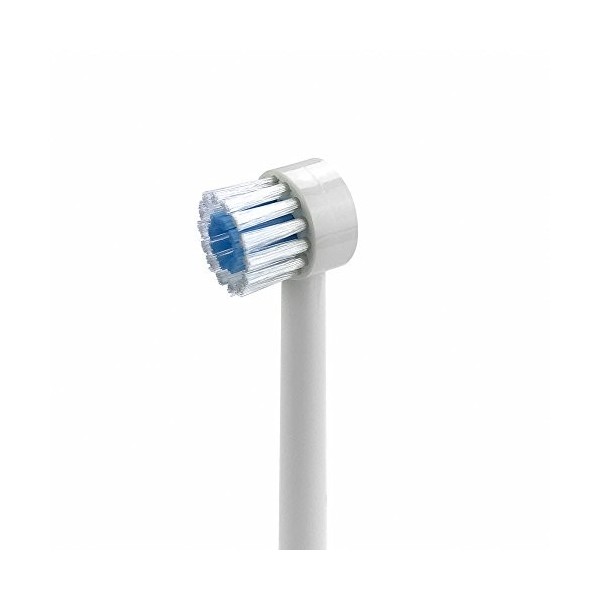 Waterpik - 9852259 - Recharge 2 Embouts Brosses à Dents pour WP 100