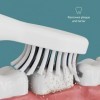 Têtes de brosse à dents Sonic - Blanc x3