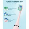 COULAX WS-7005/WS-7007 Lot de 4 têtes de rechange pour brosse à dents électrique, compatibles avec WS-7005/WS-7007 Rose 