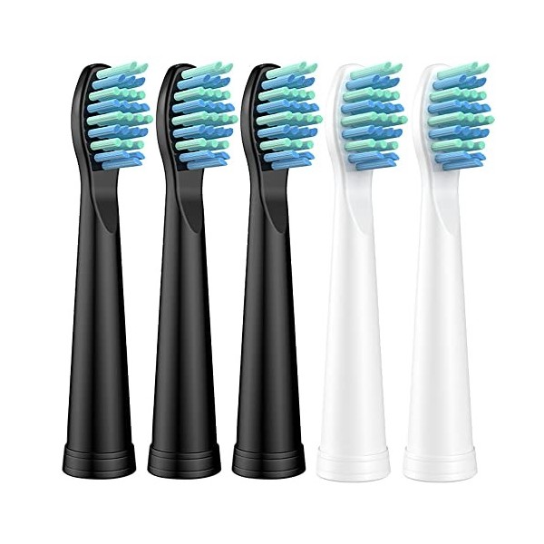 Brosses de rechange compatibles avec les brosses à dents électriques Bitvae D2 et compatibles avec Seago SG-E9/507/958 - Tête