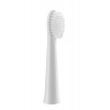 PANASONIC WEW0972W503 Brossettes a poils extra fins compatible avec la brosse à dent électrique série EW-DM81 & WEW0974W503 B