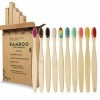 GeekerChip Lot de 10 Brosse à Dents de Bambou,10 couleurs brosse a dent bambou,Poils Doux Naturels,Écologiques Et Biodégradab