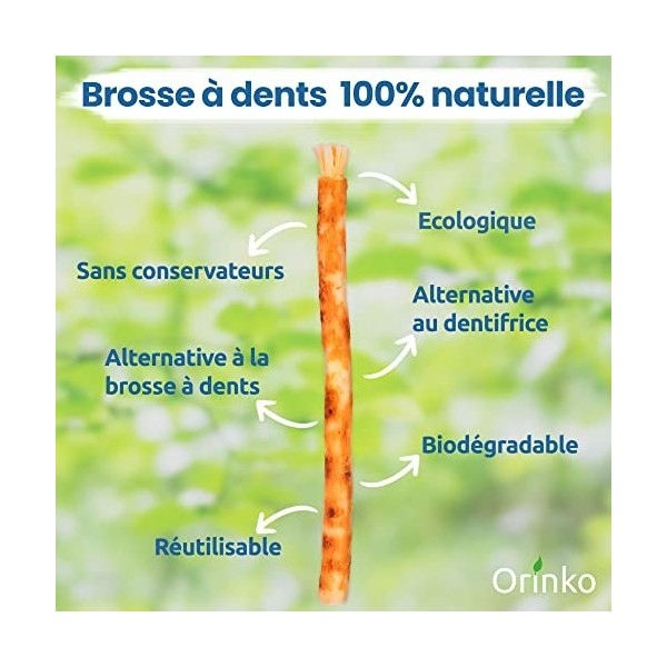 ORINKO Lot de 6 Bâtons de Siwak – Brosse à Dents 100% Naturelle – Nettoyant, Désinfectant et Blanchissant - Écologique, Biodé