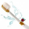 Brosse à dents ionique Crystal Miswak avec poudre de bois de Siwak. Nettoyer les dents avec et sans dentifrice.