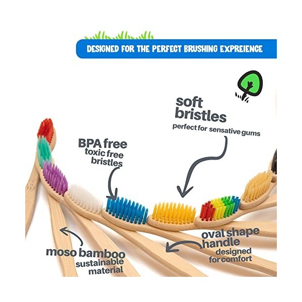 Brosses à dents en bambou,Respectueuses de lenvironnement et biodégradables,Manche en bois,Sans BPA,Poils de charbon de bois