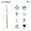 Bamboo Clean Nano Brosses à Dents en Bambou 20 000 Poils Nano Doux et Bio sans BPA Kit 4 Brosses Naturel, Écologique, Biodégr