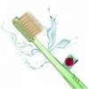 Pour nettoyer les dents avec et sans dentifrice. Smart Miswak avec des fibres de silice japonaises noires. Brosse à dents ion