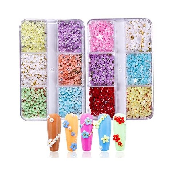 XPEX 2 Boîtes Flower Nail Art, Fleurs Ongle Nail Art 3D, Élégantes Ongles Embellissements,Beau et Charmant, Petit et délicat,