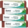 Himalaya Botanique Simply Menthe Dentifrice 4 pièces de 150 g