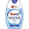 Teraxyl Dentifrice Gel 2en1, Fraîcheur Menthe, 75ml