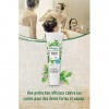 alkmene Dentifrice menthe aquatique biologique - dentifrice végan - 6 fois la protection sans silicones, parabènes, huiles mi