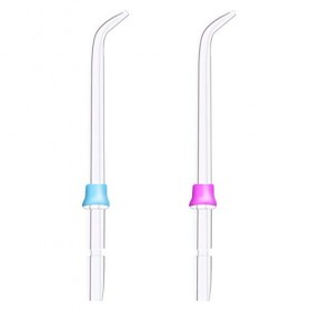 YanBan 2 pcs Hygiène bucco-dentaire Standard Arroseur pour Waterpik WP-100 WP-450 WP-250 WP-300 Wp-660 Wp-900 Brosse