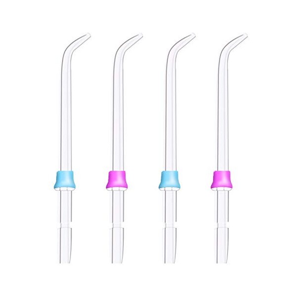 YanBan 4PCS Hygiène bucco-dentaire Standard Arroseur pour Waterpik WP-100 WP-450 WP-250 WP-300 Wp-660 Wp-900 Brosse