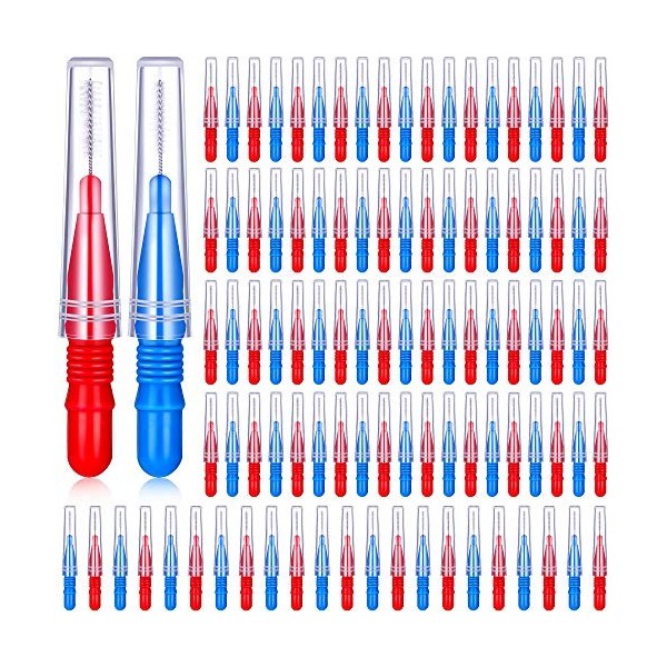 100 Pièces Brosse Interdentaire Cure-Dents de Soie Dentaire Brosse dHygiène Dentaire Buccale Cure-Dents de Soie Dentaire Out