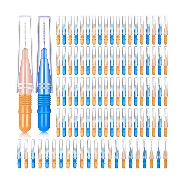 100 Pièces Brosse Interdentaire Cure-Dents de Soie Dentaire Brosse dHygiène Dentaire Buccale Cure-Dents de Soie Dentaire Out