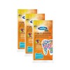 Dentek Fun Flossers, Lot de 3  3 x 40 pièces 