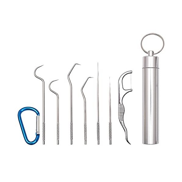 Lot de 7 cure-dents en acier inoxydable 304, cure-dents en métal, cure-dents en titane, avec étui de support, pour nettoyage 
