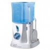 Waterpik Waterflosser NANO - WP250 identique au WP300 sans la housse de voyage 