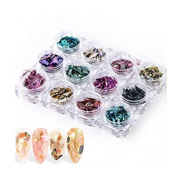 Lot de 12 boîtes colorées irrégulières 3D ormeau pour ongles