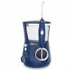 Waterpik ADA Accepted WP-663 Aquarius Hydropulseur