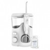 Hydropulseur Waterpik WF06 blanchissant